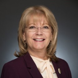 photo of Arizona Senate President Karen Fann