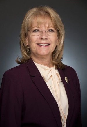Arizona Senate President Karen Fann