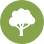 tree icon
