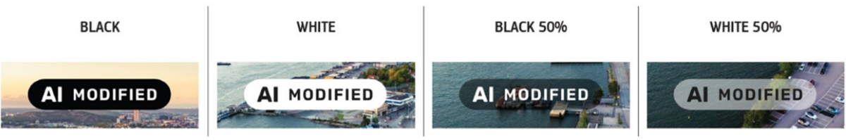 Figure 2 - AI MODIFIED